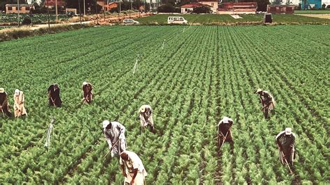 PHILIPPINES: Vibrant Agriculture is Key to Faster Recovery and .